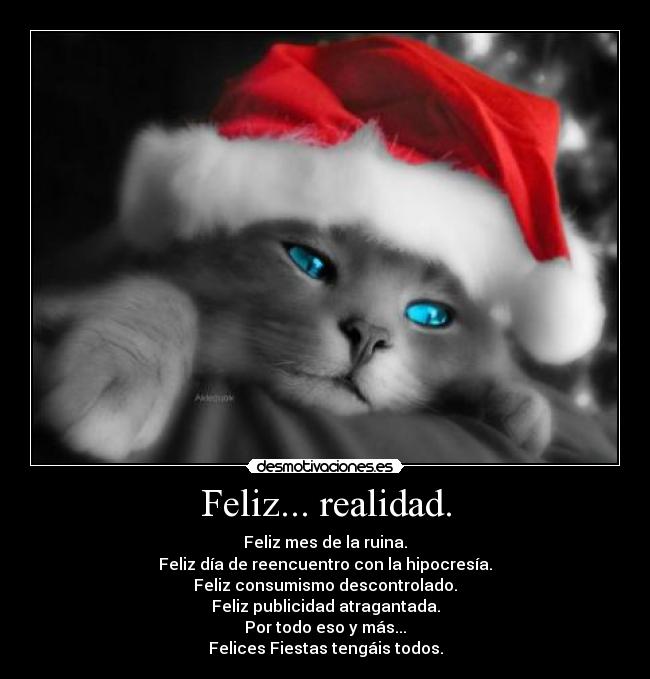 Feliz... realidad. - 