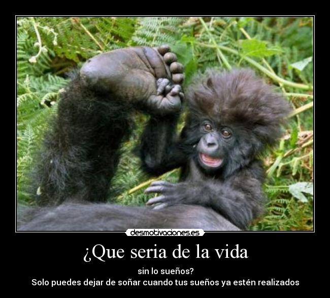 ¿Que seria de la vida - sin lo sueños?
Solo puedes dejar de soñar cuando tus sueños ya estén realizados