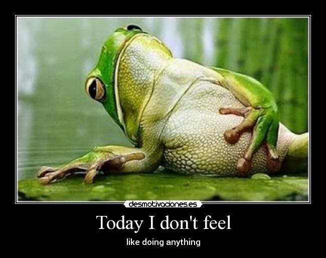 Today I dont feel - like doing anything