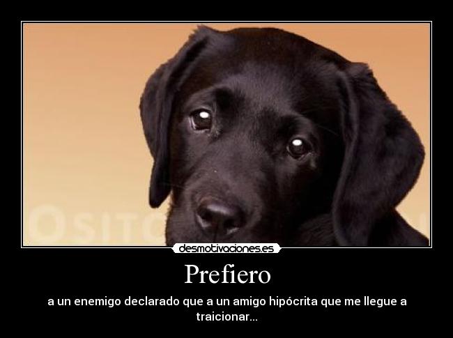 Prefiero - a un enemigo declarado que a un amigo hipócrita que me llegue a traicionar...