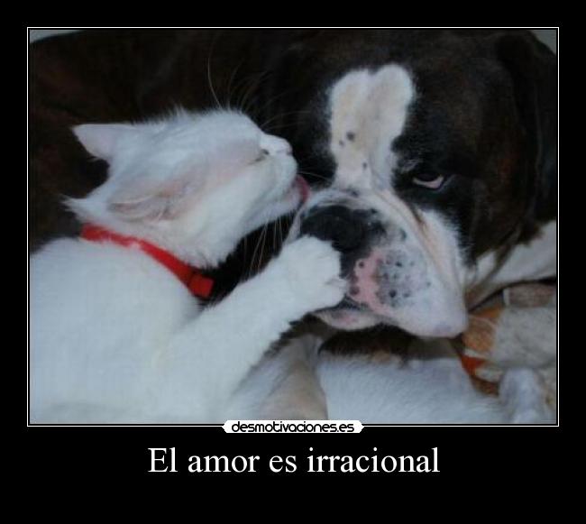 El amor es irracional - 
