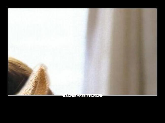 carteles las ardillas molan megacartel 725 desmotivaciones