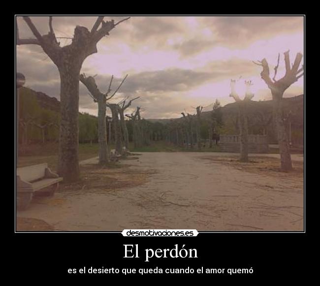 carteles perdonar desamor desierto desmotivaciones
