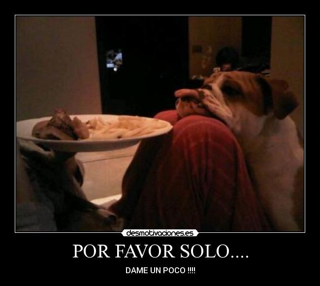 POR FAVOR SOLO.... - DAME UN POCO !!!!