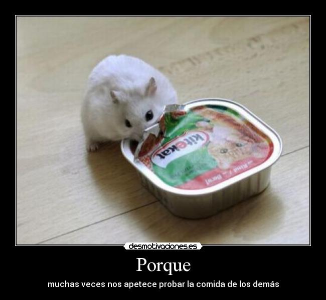 Porque -