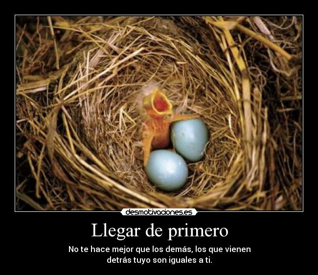 Llegar de primero - No te hace mejor que los demás, los que vienen
detrás tuyo son iguales a ti.