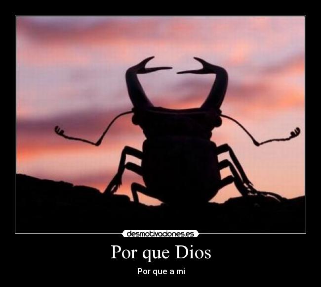 Por que Dios -