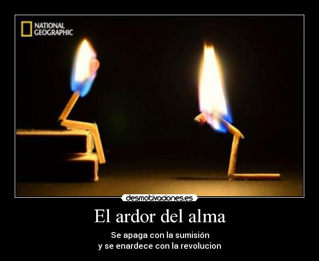 El ardor del alma - Se apaga con la sumisión
y se enardece con la revolucion