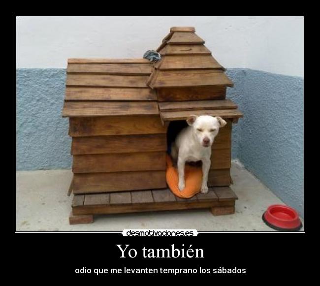 Yo también - odio que me levanten temprano los sábados