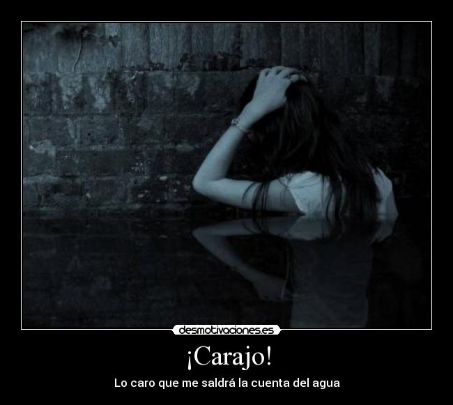 ¡Carajo! - Lo caro que me saldrá la cuenta del agua