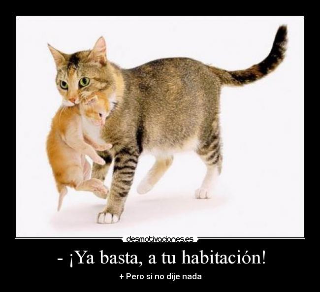 - ¡Ya basta, a tu habitación! -