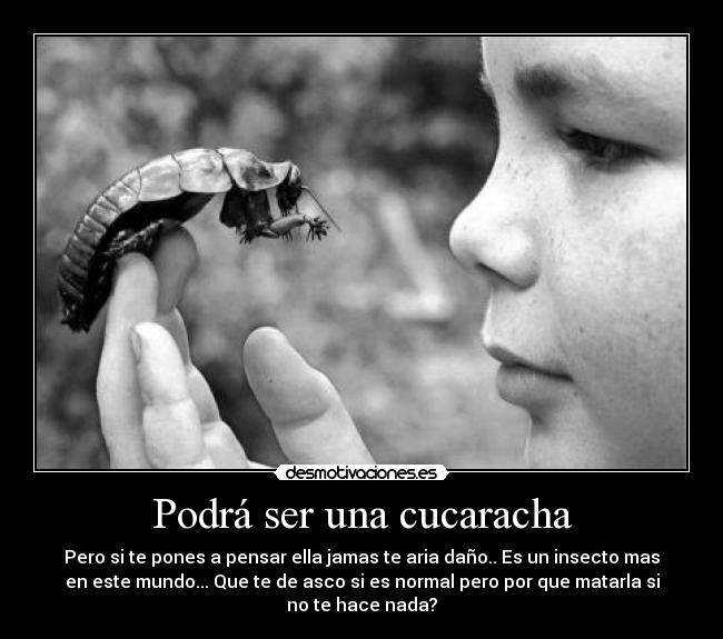 Podrá ser una cucaracha - Pero si te pones a pensar ella jamas te aria daño.. Es un insecto mas
en este mundo... Que te de asco si es normal pero por que matarla si
no te hace nada?