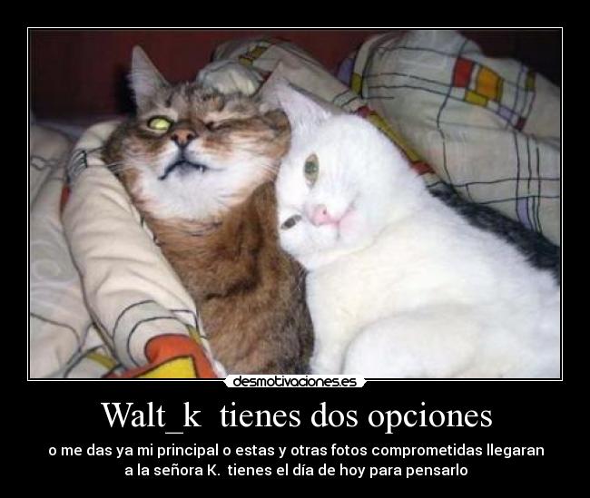 Walt_k tienes dos opciones - o me das ya mi principal o estas y otras fotos comprometidas llegaran
a la señora K. tienes el día de hoy para pensarlo