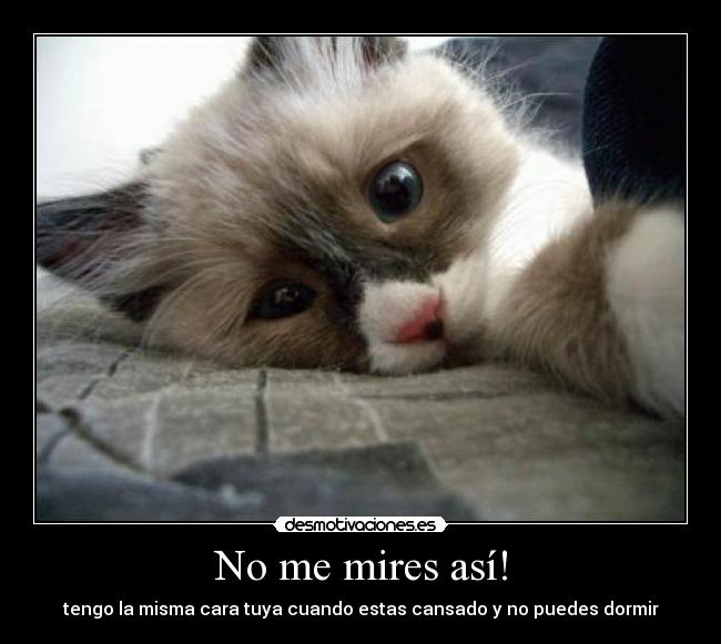 carteles dormir desmotivaciones