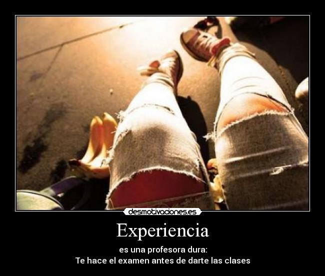 Experiencia - 