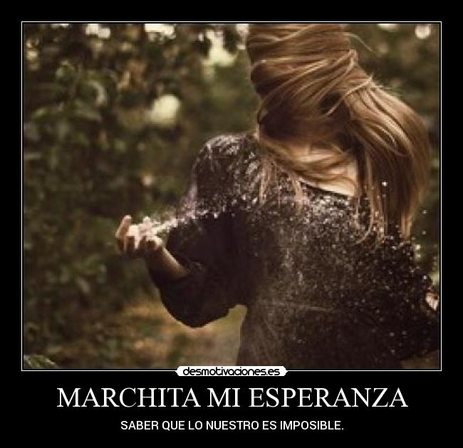 carteles esperanza amor desamor desmotivaciones