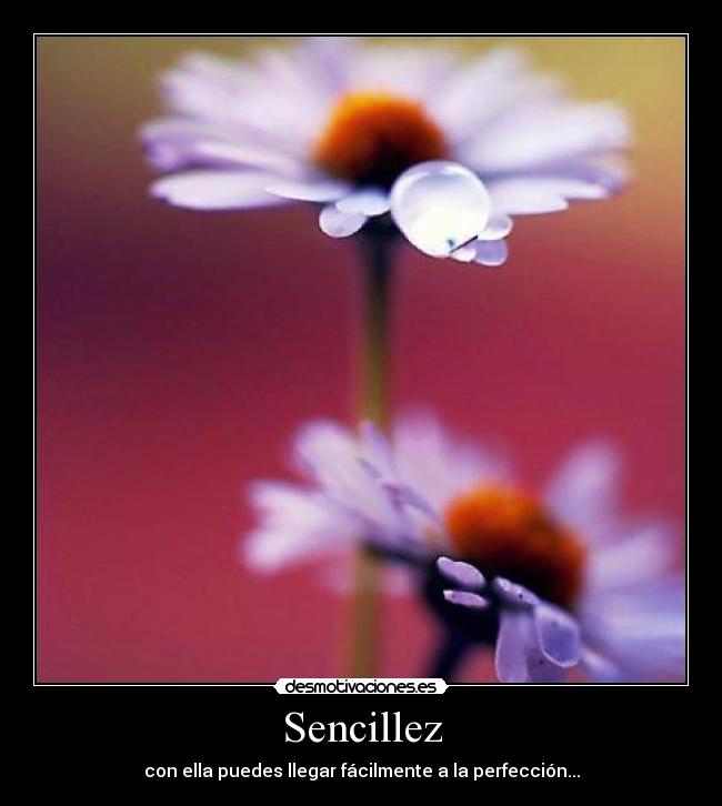 Sencillez -