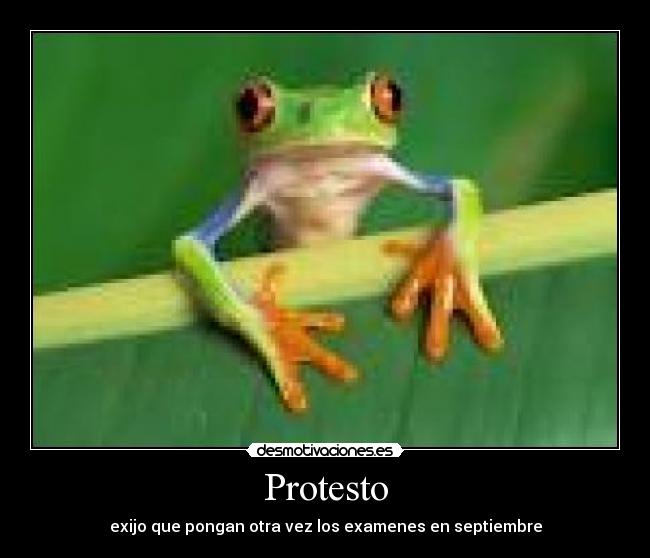 Protesto -