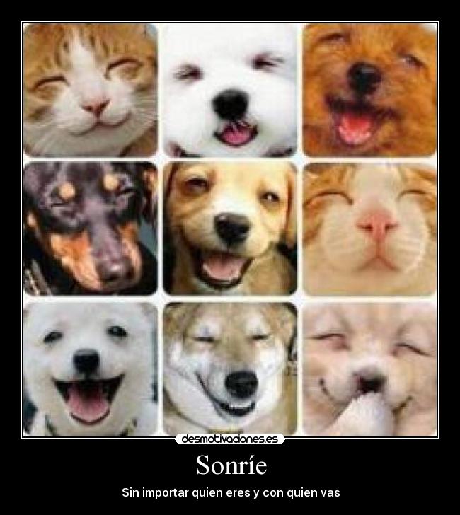 Sonríe - 