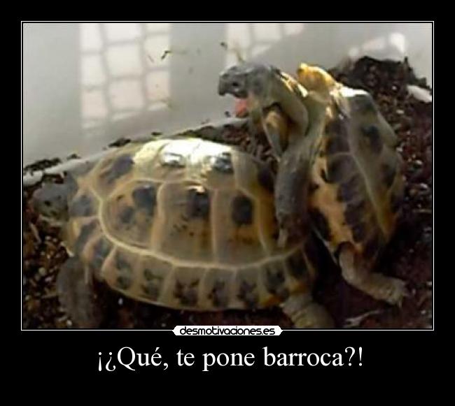 ¡¿Qué, te pone barroca?! -