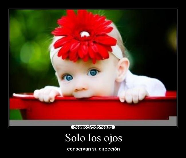 Solo los ojos - conservan su dirección