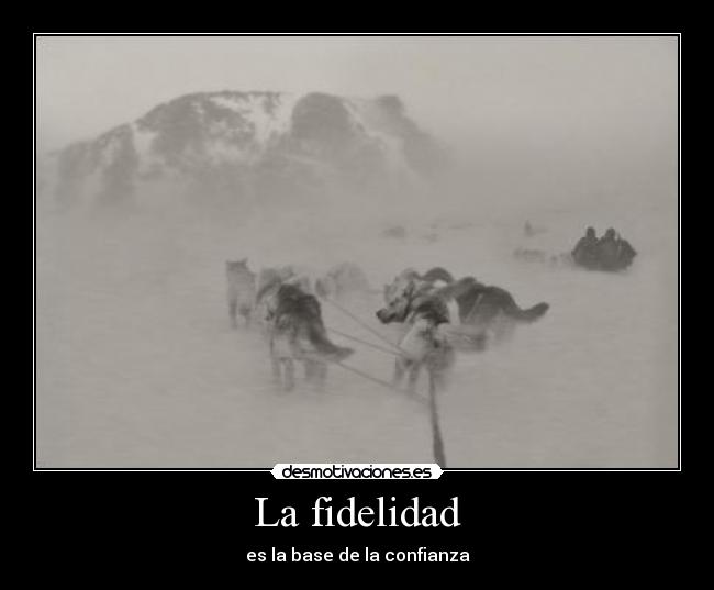 La fidelidad - es la base de la confianza