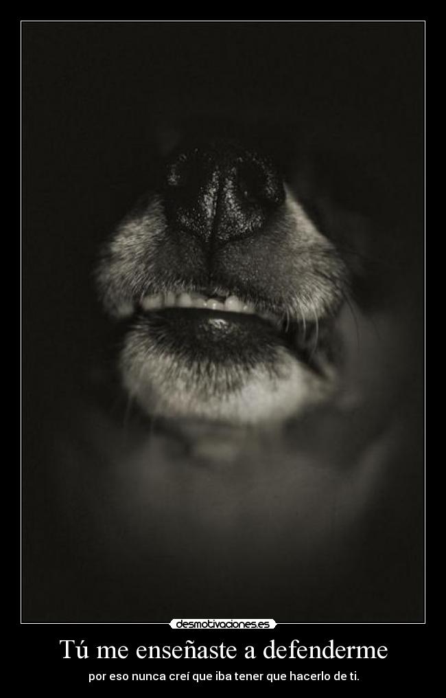 carteles bulma272 todo vuelve tocas perro desgarro puta cara desmotivaciones