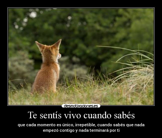 Te sentís vivo cuando sabés -