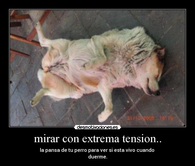 carteles drsativas desmotivaciones