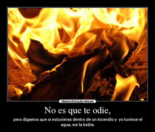 carteles mecansoyadelasmalditasetiquetas desmotivaciones