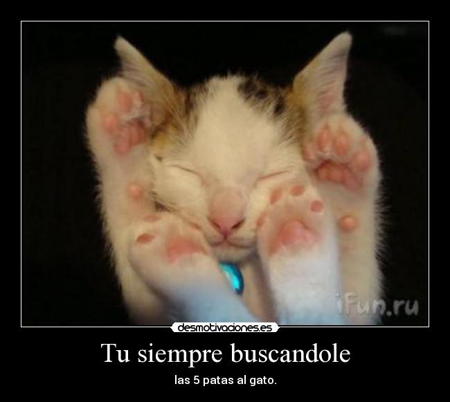 Tu siempre buscandole - 