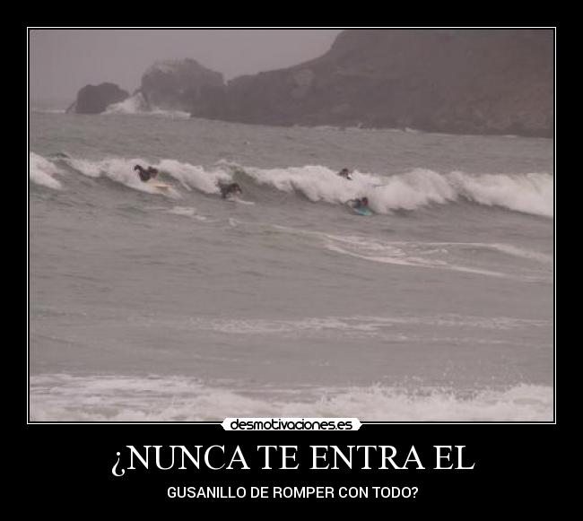 ¿NUNCA TE ENTRA EL - GUSANILLO DE ROMPER CON TODO?