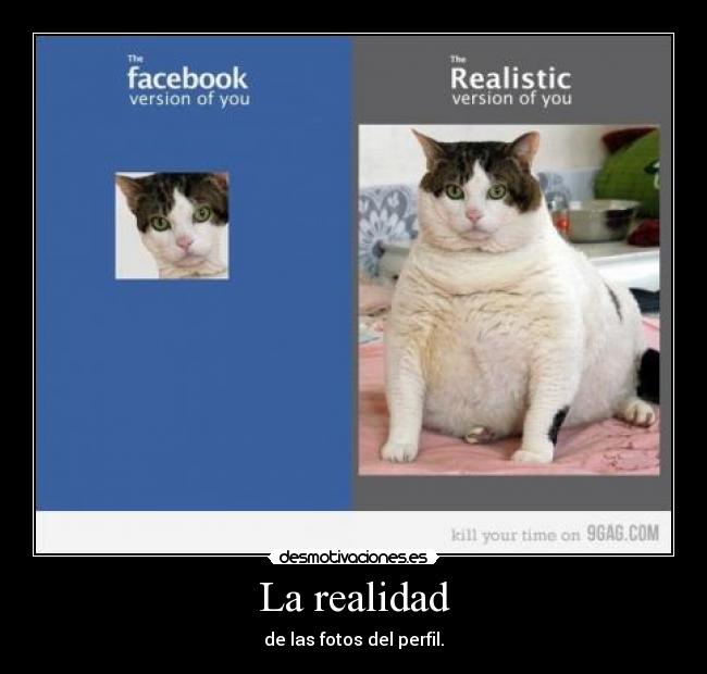 La realidad - 