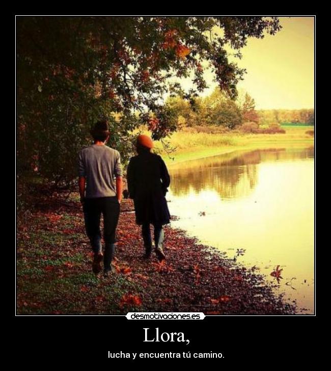 Llora, - lucha y encuentra tú camino.