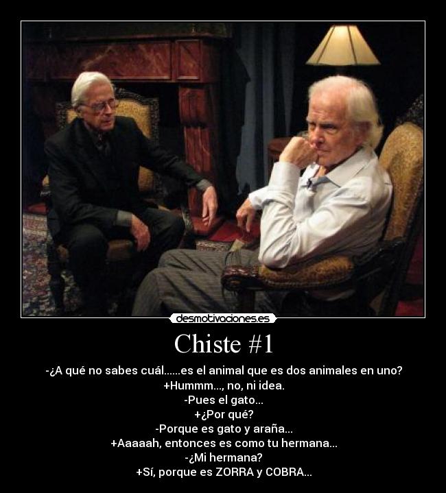 Chiste #1 - -¿A qué no sabes cuál......es el animal que es dos animales en uno?
+Hummm..., no, ni idea.
-Pues el gato...
+¿Por qué?
-Porque es gato y araña...
+Aaaaah, entonces es como tu hermana...
-¿Mi hermana?
+Sí, porque es ZORRA y COBRA...
