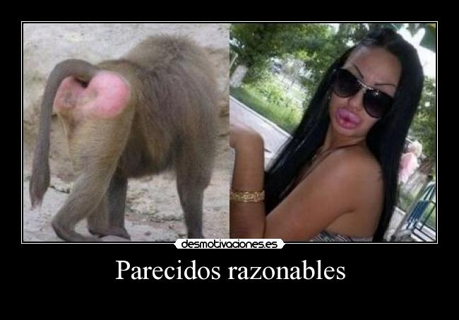 Parecidos razonables -