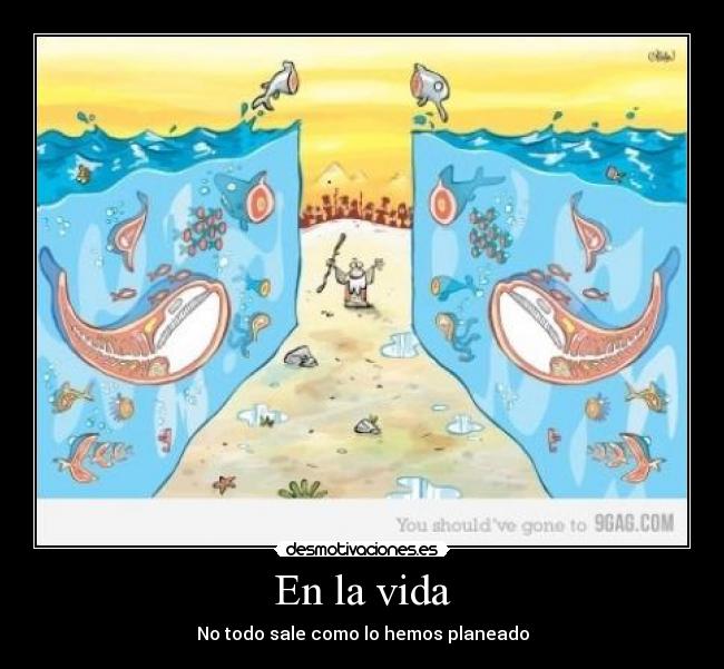 carteles vida fail desmotivaciones