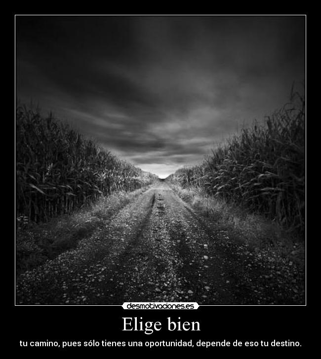 Elige bien - tu camino, pues sólo tienes una oportunidad, depende de eso tu destino.