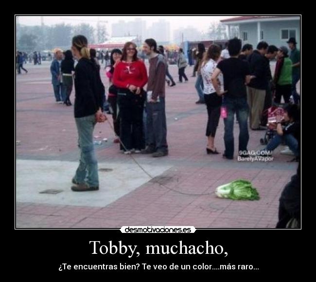 Tobby, muchacho, - ¿Te encuentras bien? Te veo de un color....más raro...