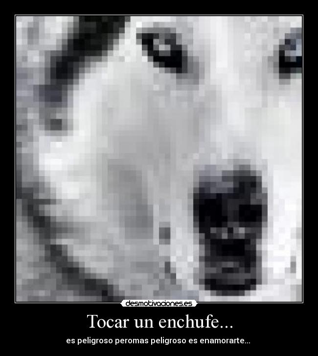 Tocar un enchufe... -