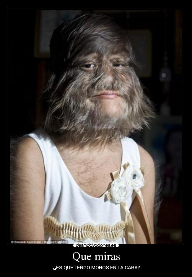 carteles saila25 desmotivaciones