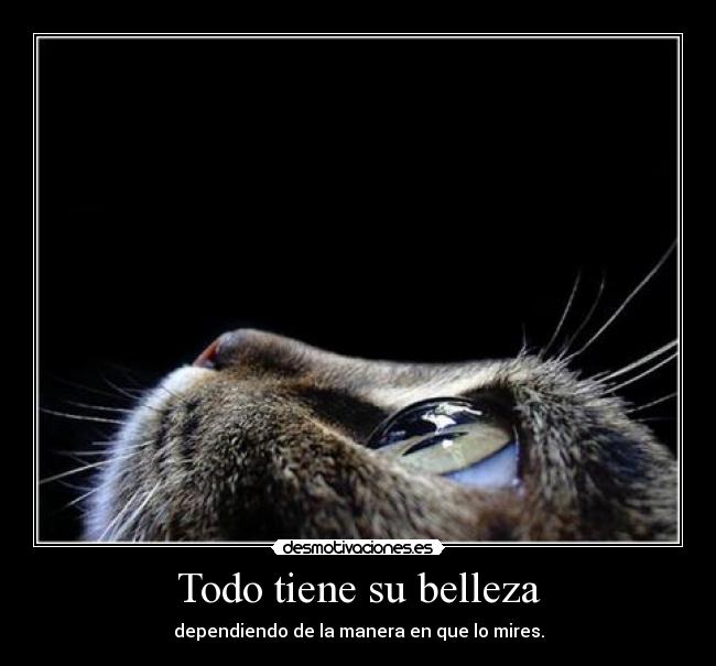 Todo tiene su belleza - dependiendo de la manera en que lo mires.
