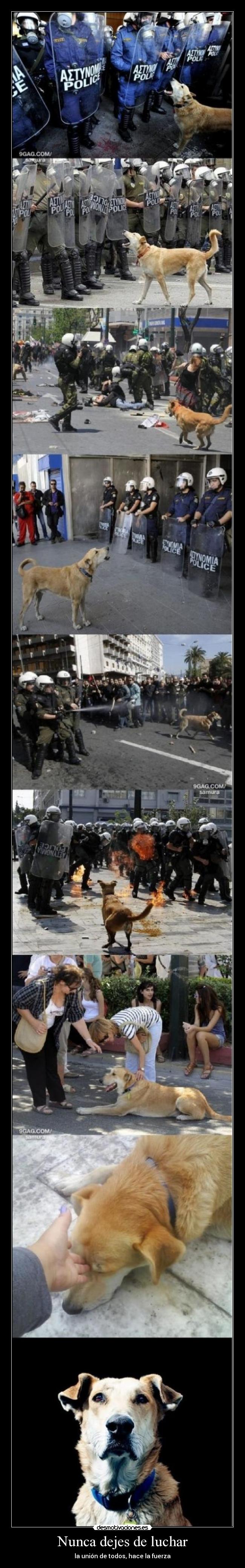 carteles dejes lucahr desmotivaciones