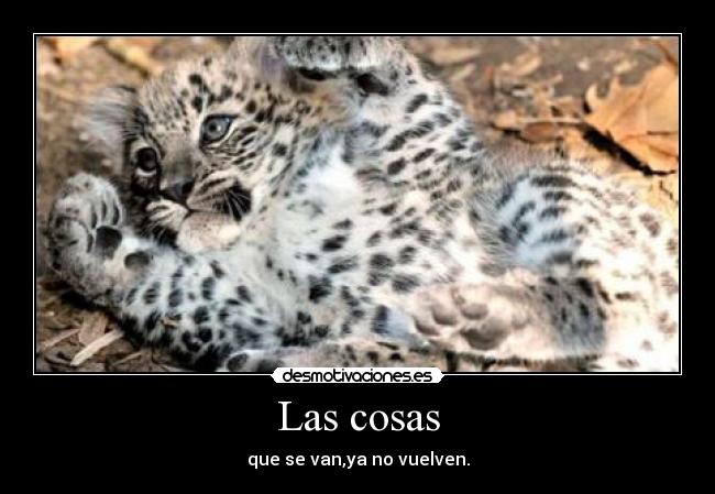 Las cosas - 