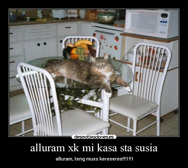 alluram xk mi kasa sta susia - alluram, teng muxs kereseres!!!1!!1