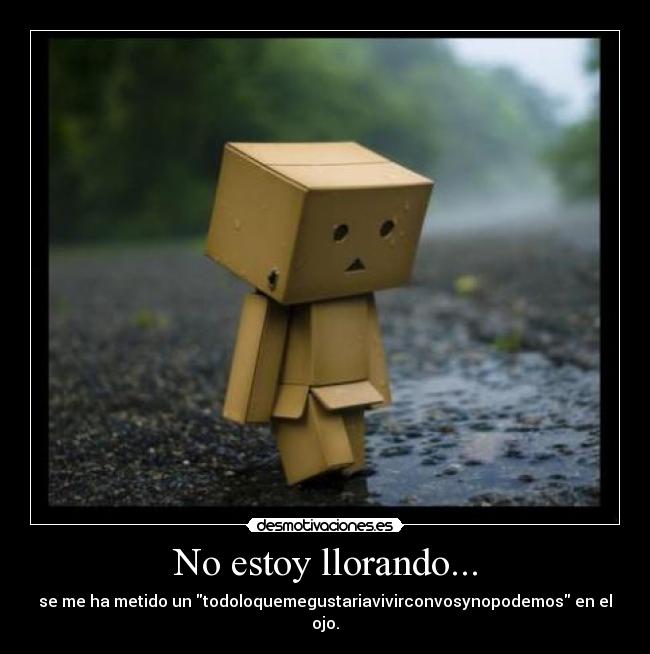 No estoy llorando... - se me ha metido un todoloquemegustariavivirconvosynopodemos en el ojo.