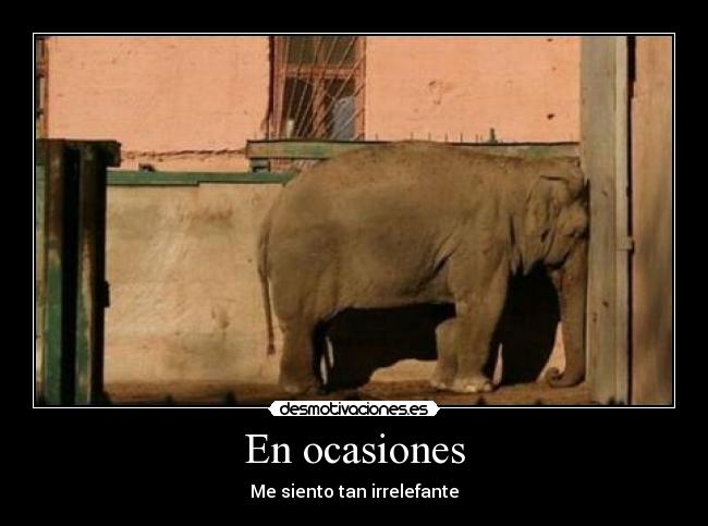 En ocasiones - 