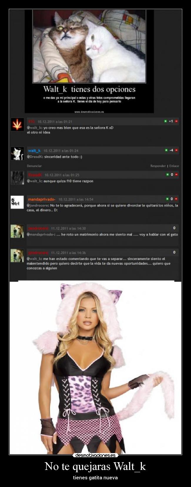 No te quejaras Walt_k - tienes gatita nueva