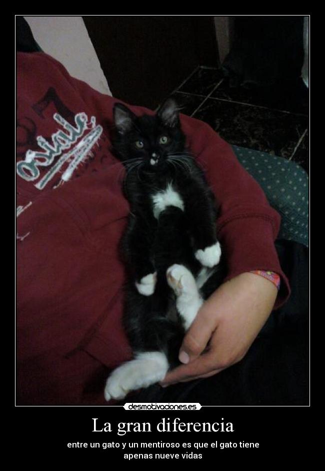 La gran diferencia -