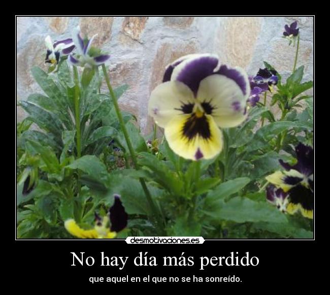 No hay día más perdido - que aquel en el que no se ha sonreído.